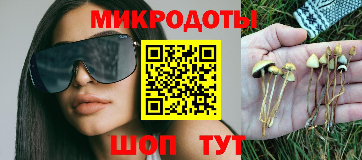 Вологда  закладка  Вход с VPN  Псилоцибиновые грибы Magic Shrooms 