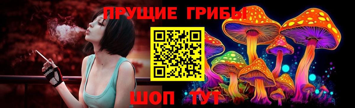 Псилоцибиновые грибы Cubensis Вологда